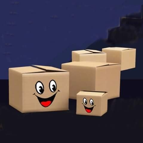 الشركه الدوليه لصناعه الكرتون والطباعه 